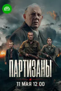 Партизаны